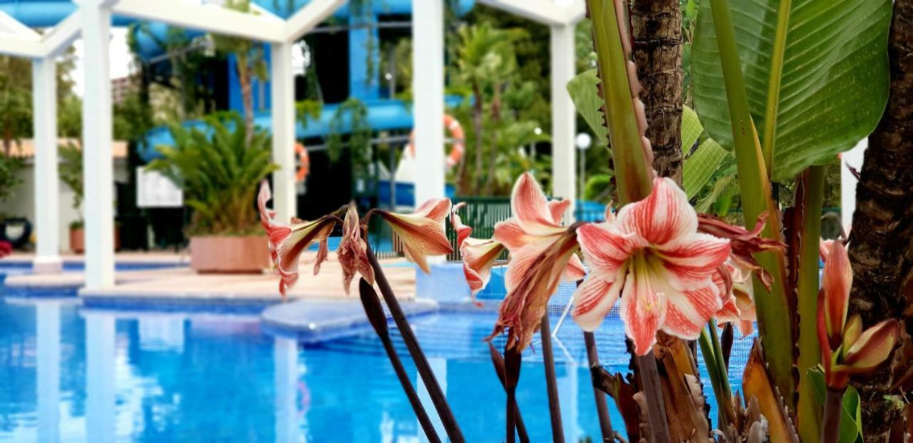 El Estudio De La Playa Benalbeach Holidays Deluxe Benalmádena Dış mekan fotoğraf