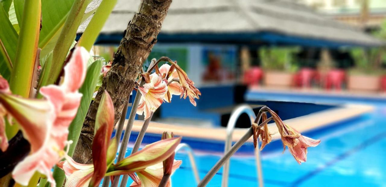 El Estudio De La Playa Benalbeach Holidays Deluxe Benalmádena Dış mekan fotoğraf